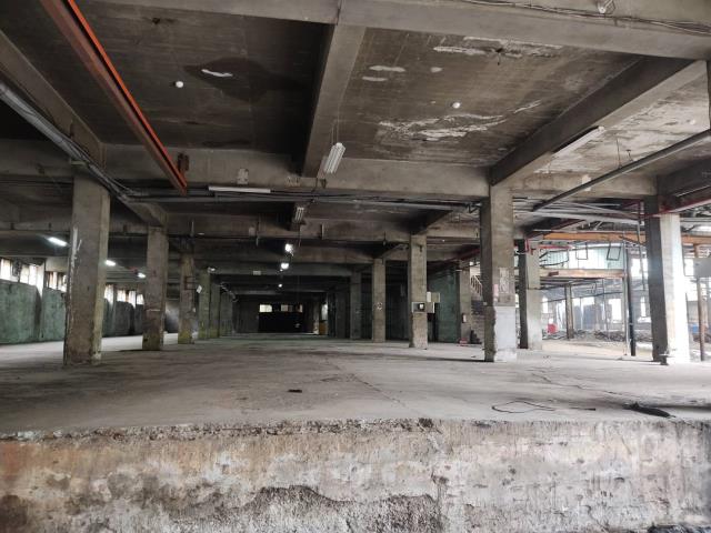 桃園龜山廠房-2