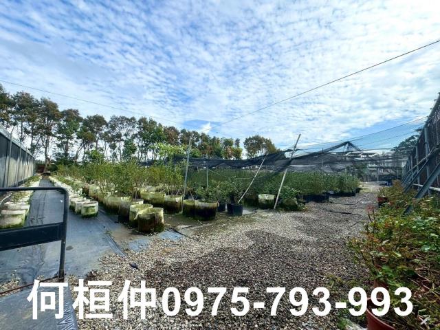 苗栗後龍廠房_廠辦_倉庫-11