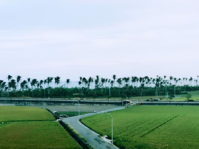 台東市透天_別墅-1