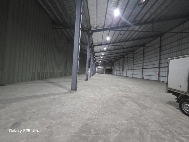 桃園大園廠房-2