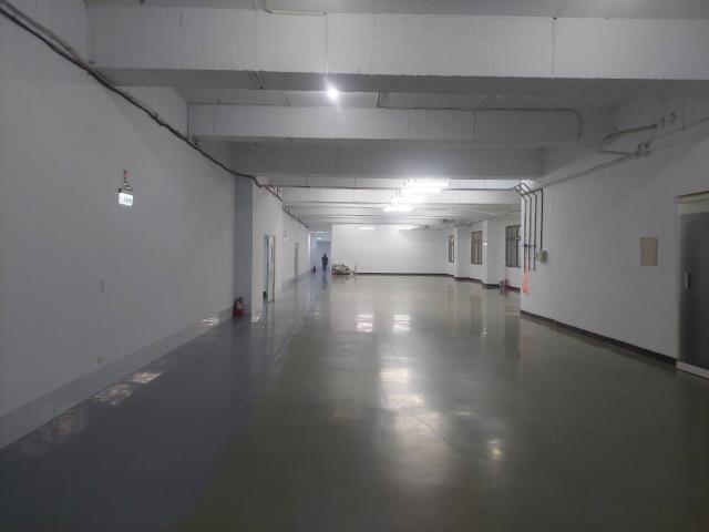 五股廠房_倉庫-4