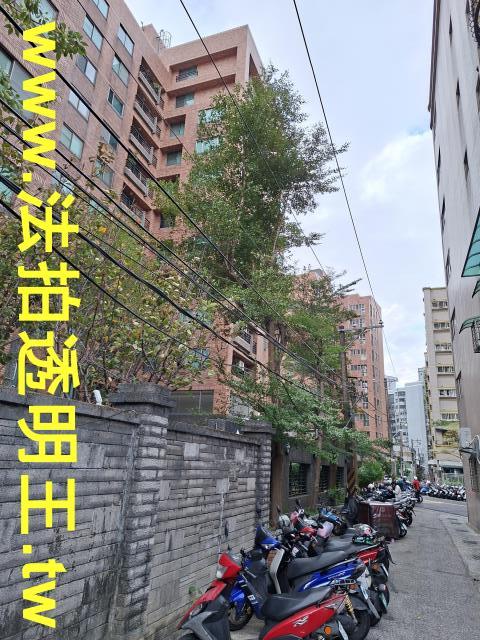 三重拍賣大樓-8