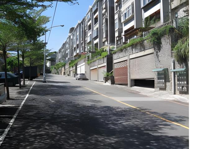 新北別墅拍賣-2