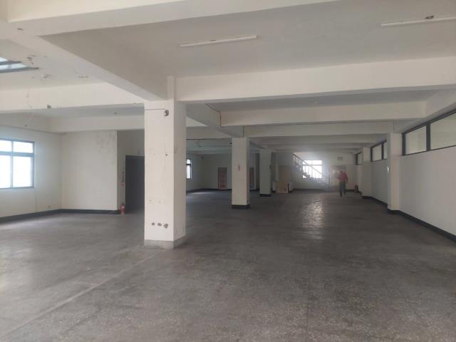 新北五股廠房_廠辦_倉庫-2
