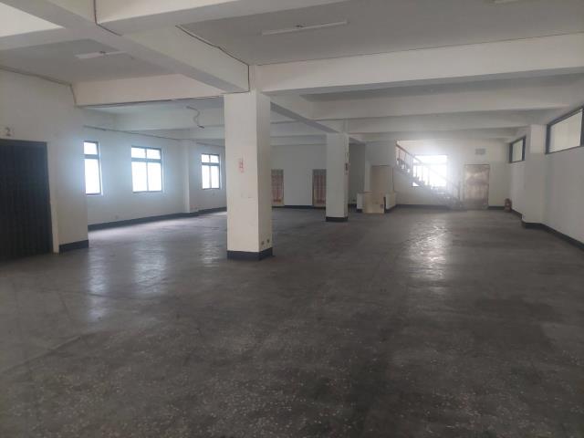 新北五股廠房_廠辦_倉庫-3