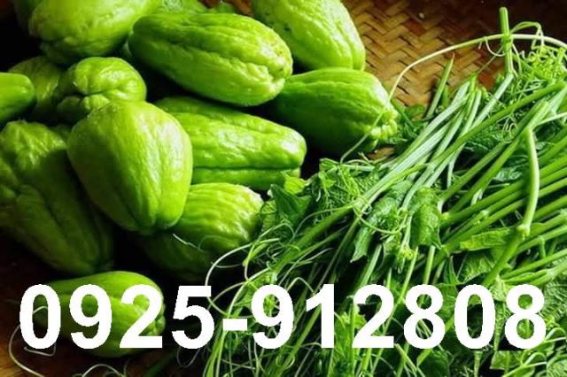 高雄廠房_農地廠房-1