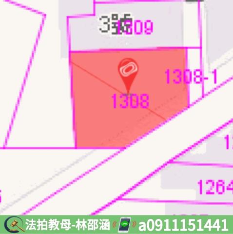 屏東市拍賣華廈-10