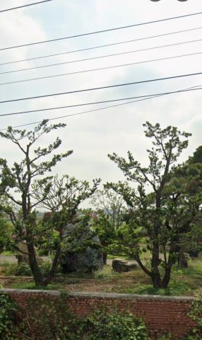 鹽水法拍農舍_一樓-11