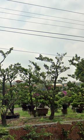 鹽水法拍農舍_一樓-12