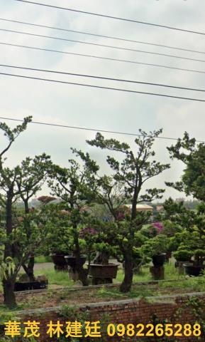 鹽水法拍農舍_一樓-5