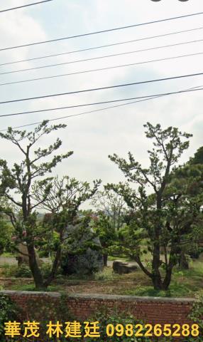 鹽水法拍農舍_一樓-6