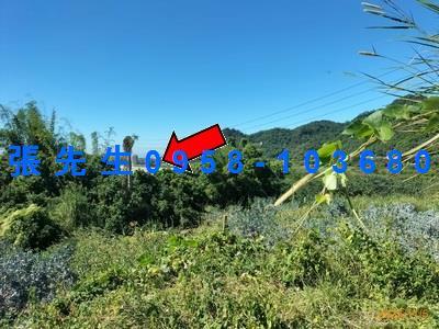 台中豐原法拍透天-6