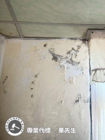 桃園透天法拍-4