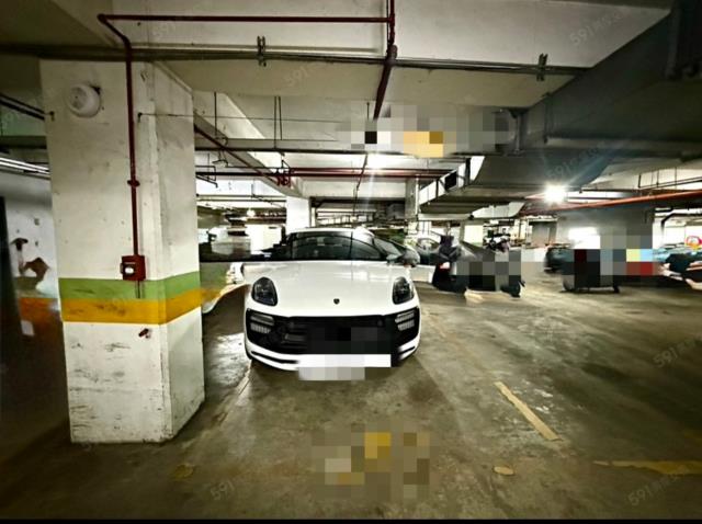 桃園中壢華廈-10