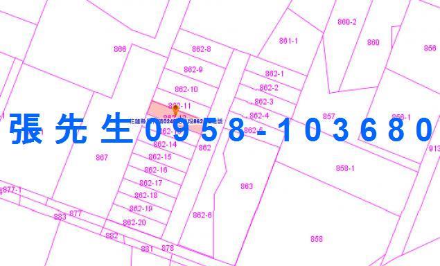 花蓮法拍透天-3