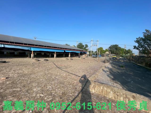 嘉義六腳牧場-8