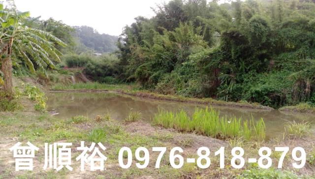 新竹竹東農舍-4