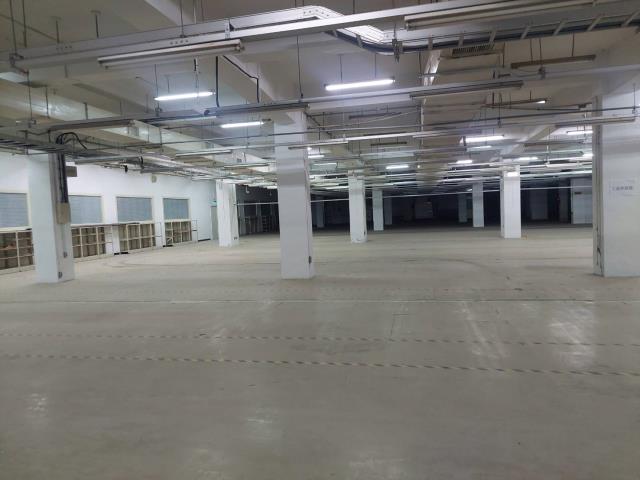新北廠房_廠辦_倉庫-5