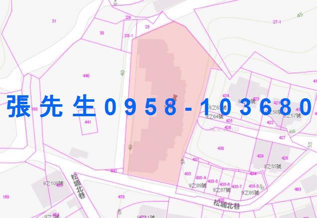 鳥松法拍華廈-2