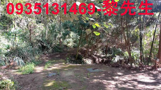 新竹橫山農舍-14