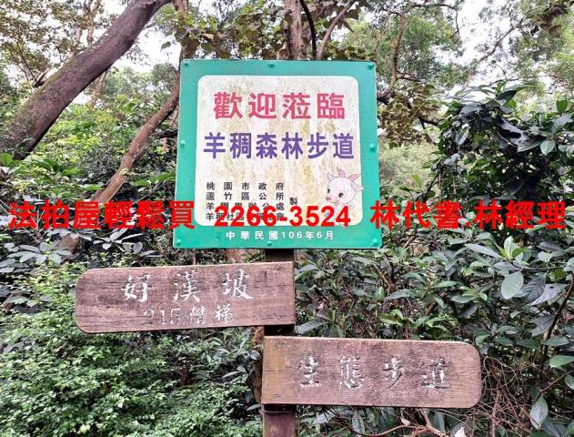 桃園蘆竹大樓_一樓_2戶打通法拍-13