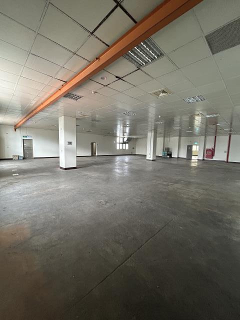 桃園龍潭廠房-2