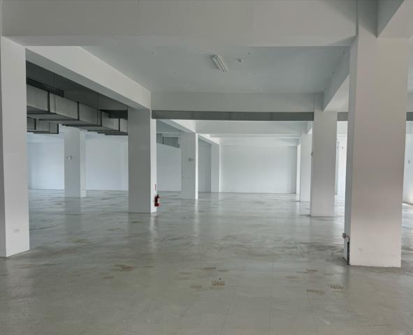 新北五股廠房_廠辦_倉庫-1