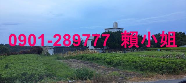 通霄拍賣透天-5