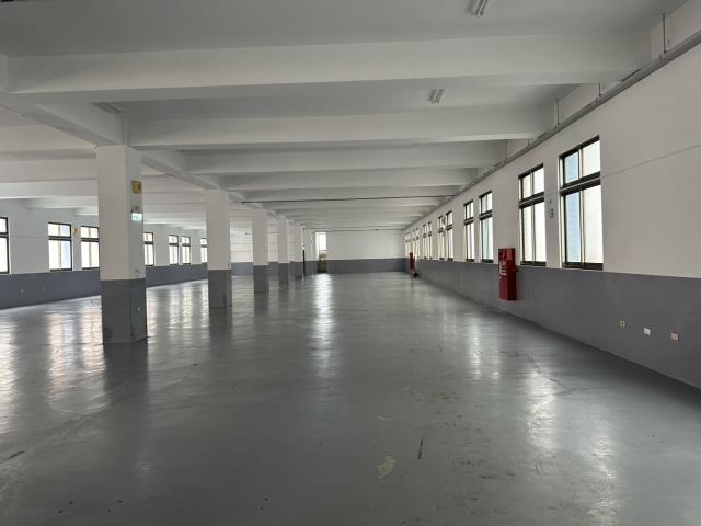 桃園龜山廠房_廠辦_倉庫-5