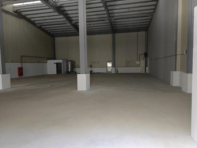 新北樹林廠房_廠辦_倉庫-5