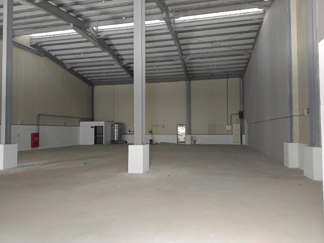 新北樹林廠房_廠辦_倉庫-6