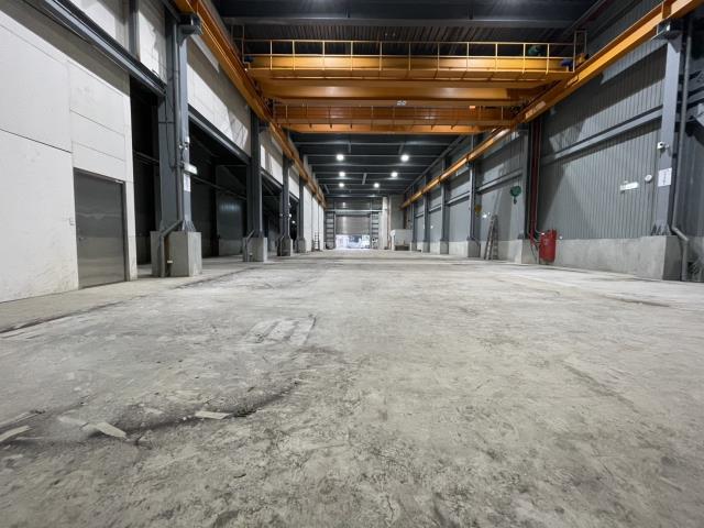 大園廠房_廠辦_倉庫-3