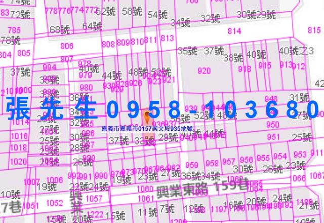 東區法拍透天-3