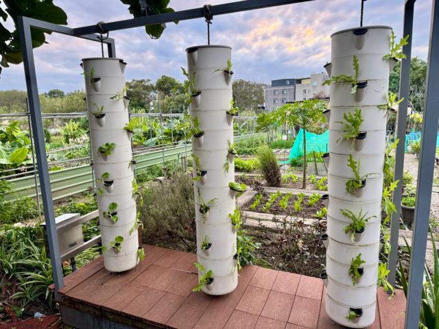 桃園透天_別墅-11