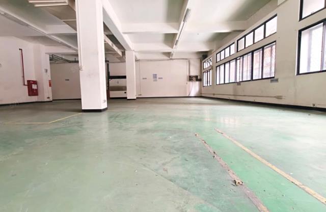 新莊廠房_廠辦_倉庫-1