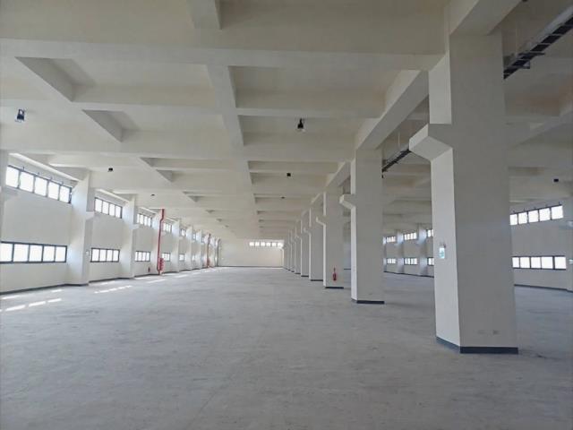 桃園觀音廠房-2