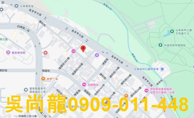 台東台東市法拍華廈-2