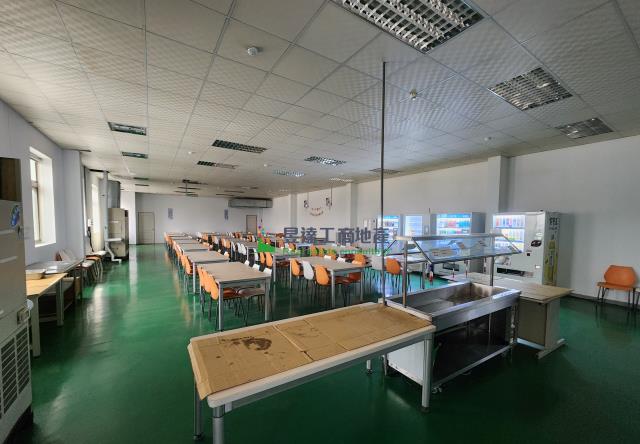 桃園平鎮廠房_廠辦_辦公室-2