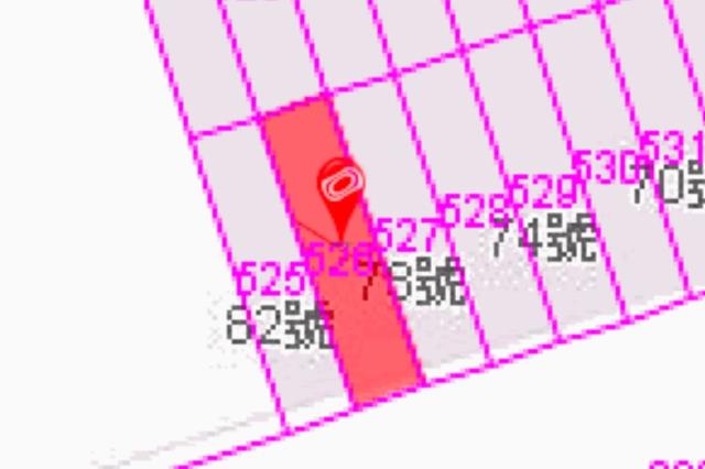 高雄湖內法拍透天_一樓-8