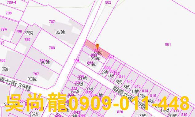 花蓮吉安法拍透天-2