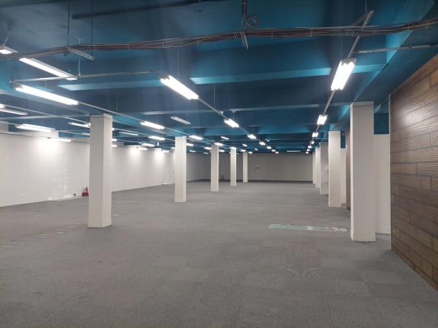 新北新莊廠房-4