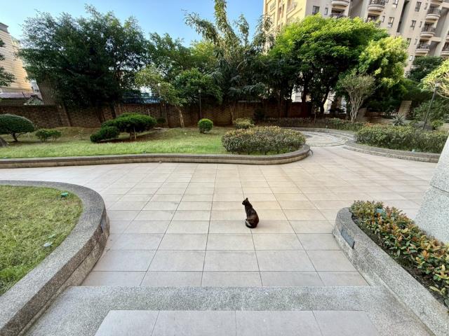 桃園中壢大樓-11