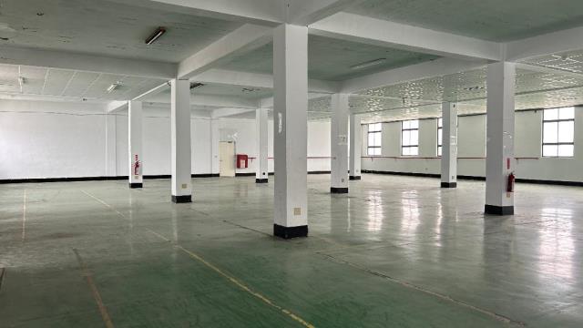 桃園廠房_廠辦_倉庫-2