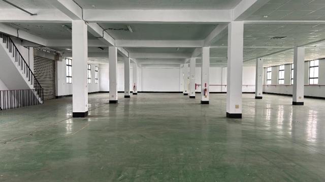 桃園廠房_廠辦_倉庫-5