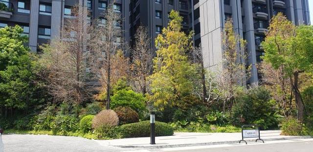 台中南區大樓-2