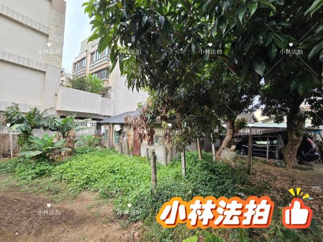 后里法拍平房-2