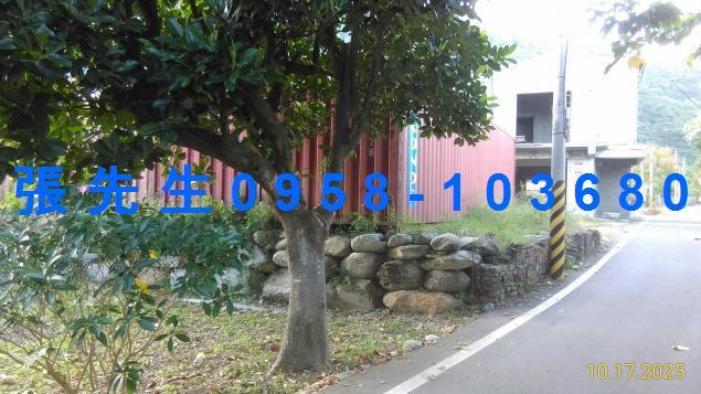 花蓮法拍透天-2