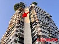 台北大樓_華廈_邊間法拍-5