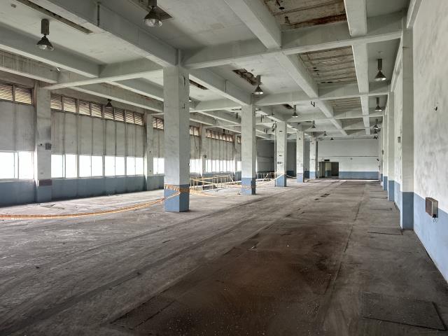 桃園觀音廠房_倉庫-2