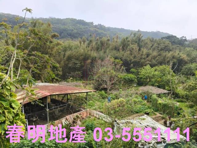 新竹湖口透天_店面-6